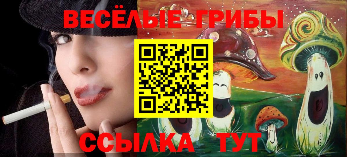 Галлюциногенные грибы прущие грибы Курчалой